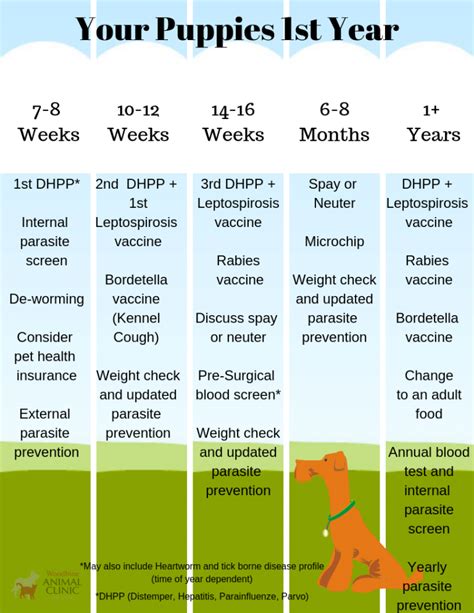 Printable Puppy Deworming Schedule